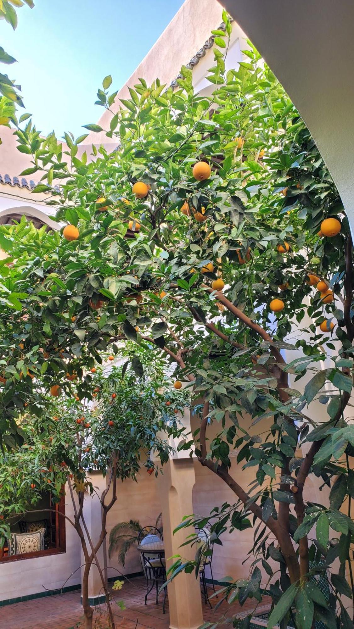 Riad Tidar By Phoenix Marrakesz Zewnętrze zdjęcie