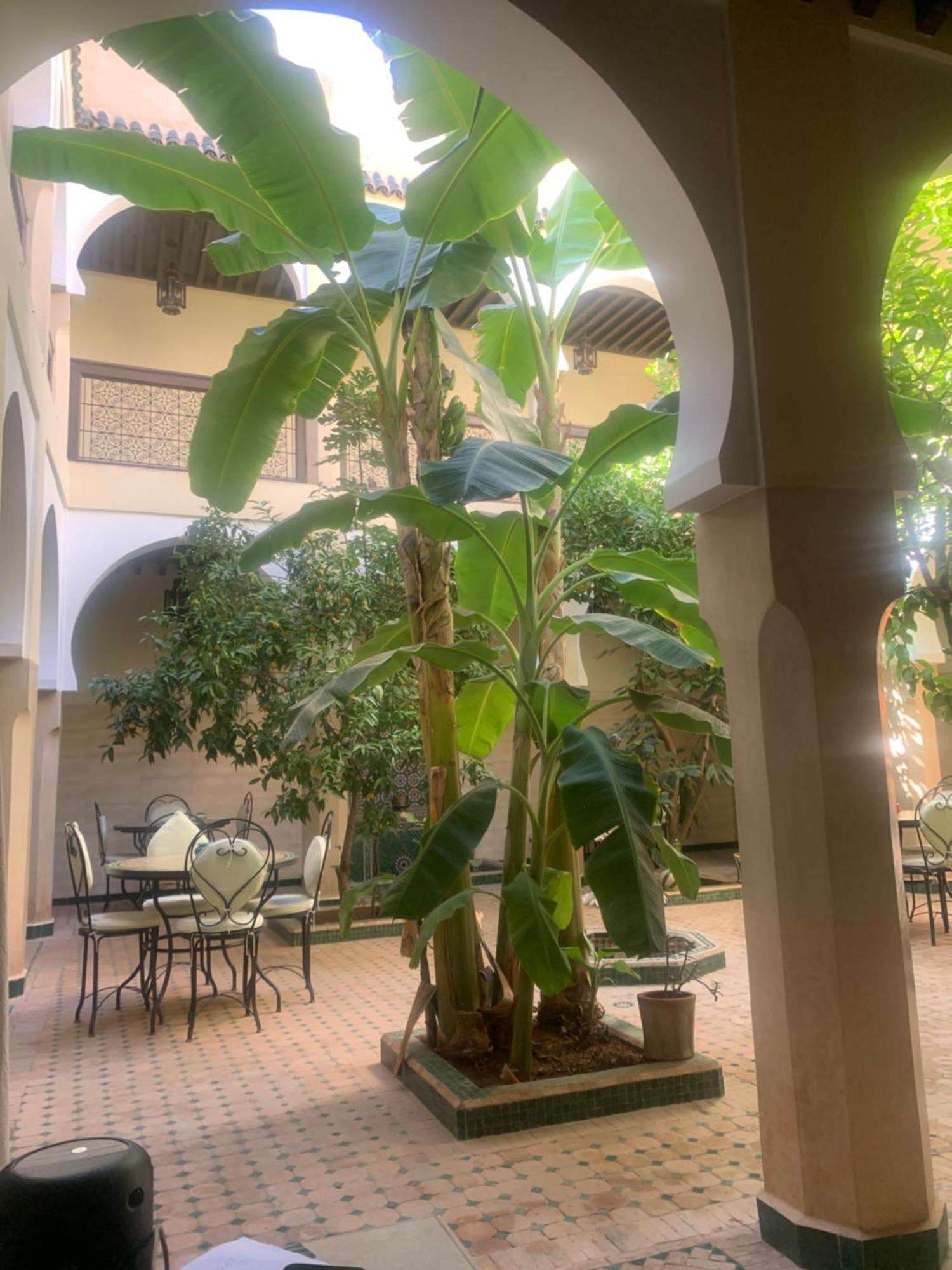 Riad Tidar By Phoenix Marrakesz Zewnętrze zdjęcie