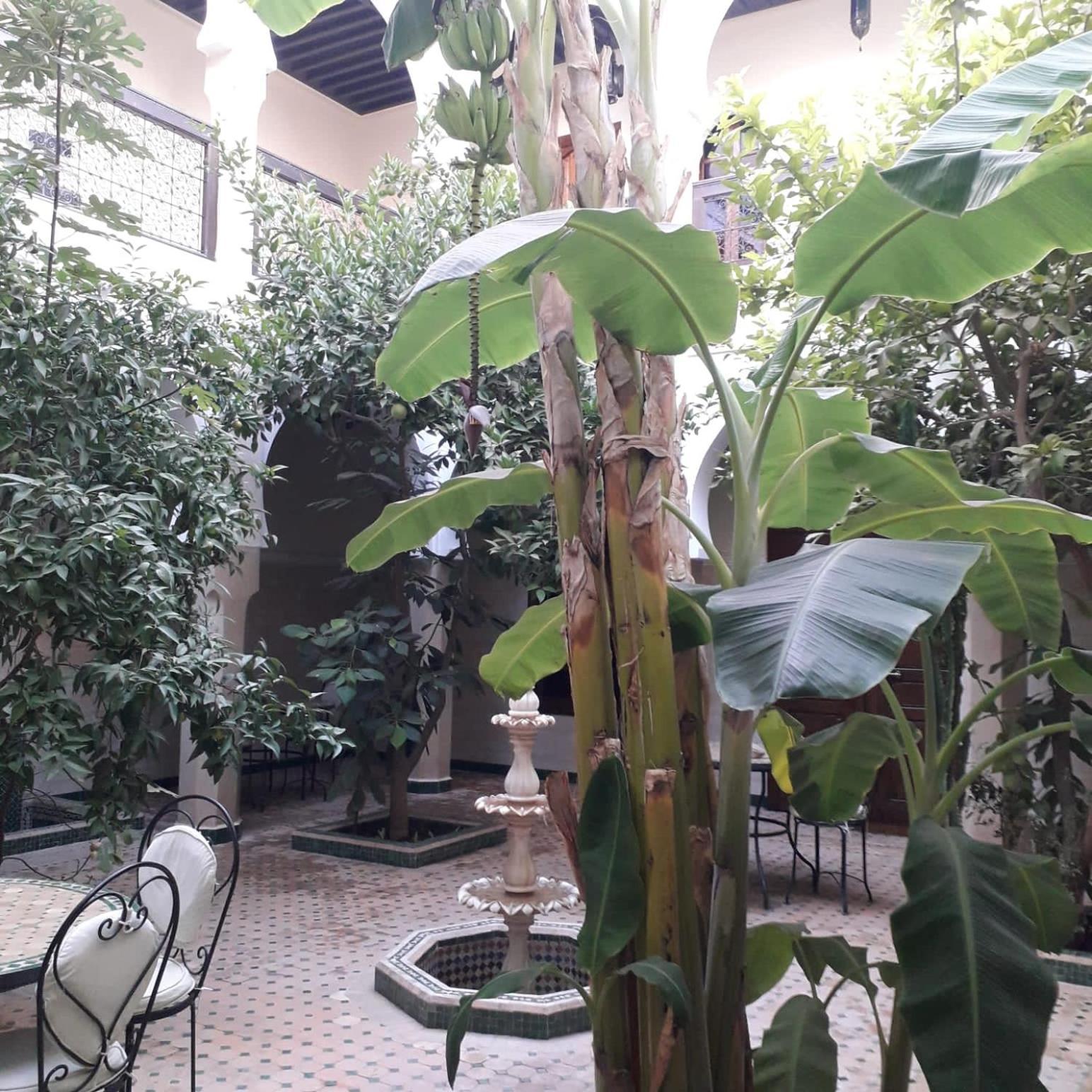 Riad Tidar By Phoenix Marrakesz Zewnętrze zdjęcie