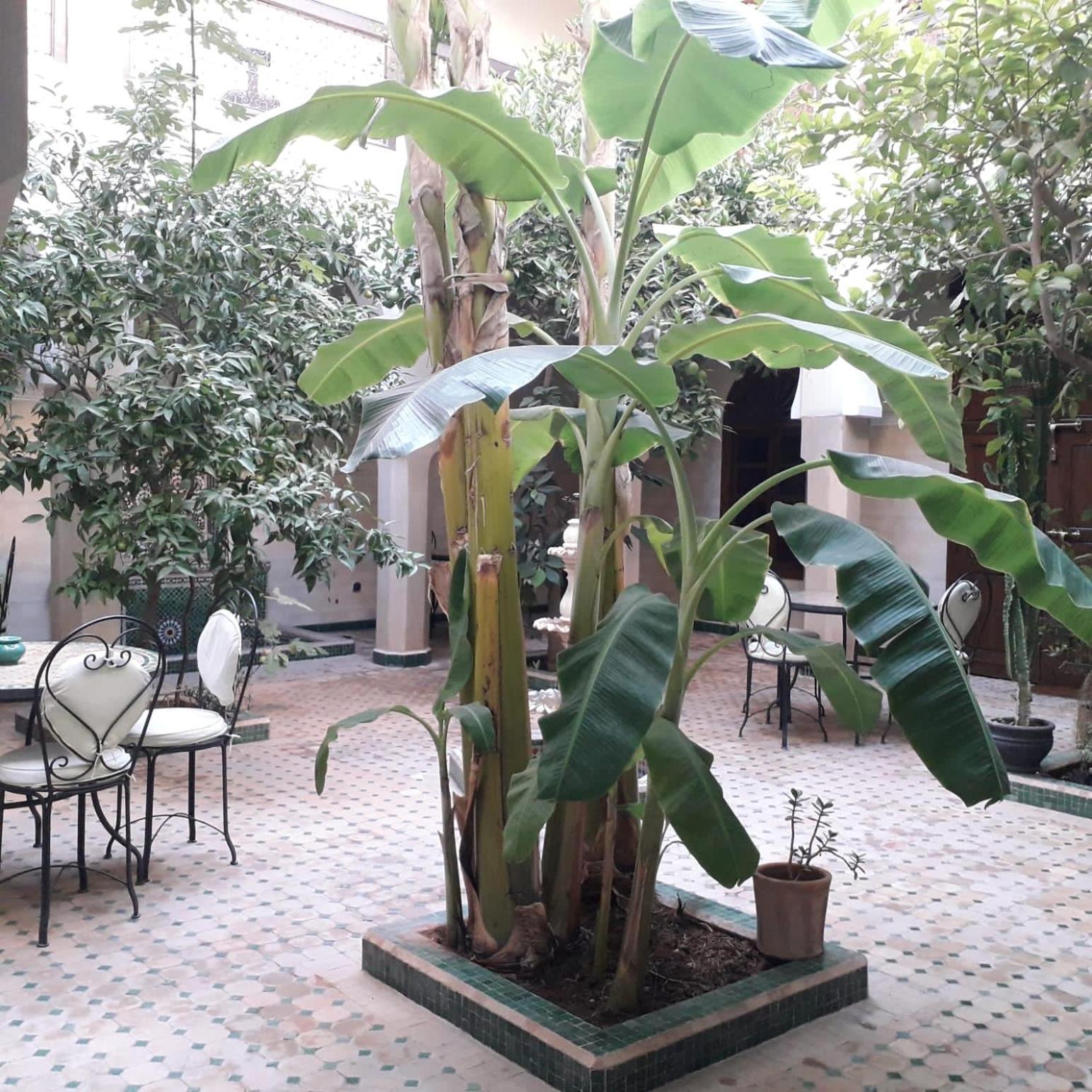 Riad Tidar By Phoenix Marrakesz Zewnętrze zdjęcie